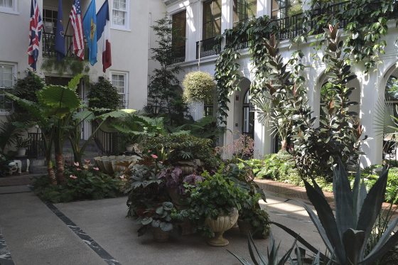 An interior image of the Peirce du Pont house featuring arched doorways and green vines on the walls.